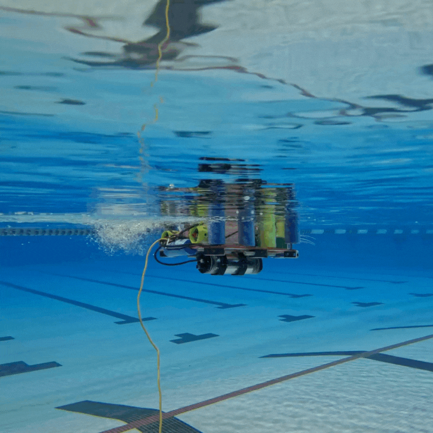 Bio-Inspired Underwater Perception