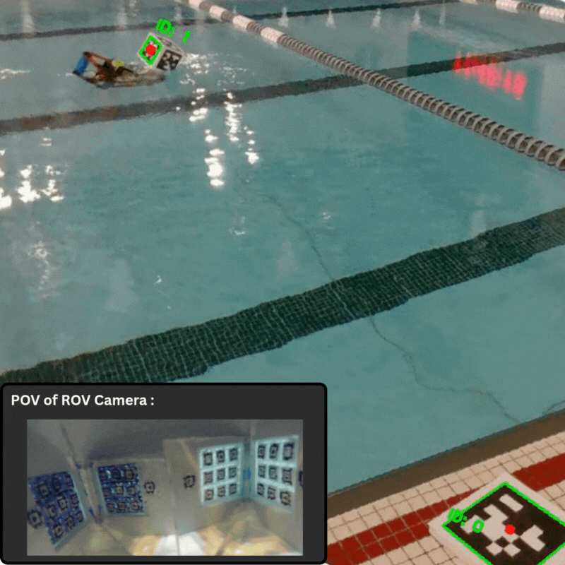 Bio-Inspired Underwater Perception
